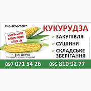 Сушіння кукурудзи 90 грн за 1 тонну. Самовивіз. Київська область. Україна