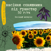 Продам насіння соняшнику під Гранстар (50 г/га), Київська область. 