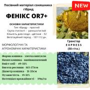 НОВИНКА!!! Гібрид ФЕНІКС - посівний матеріал соняшника під Гранстар, Київська область. 