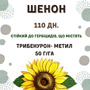 Продам насіння соняшника під гібрид - ШЕНОН OR7+ (110 днів), Київська область. 