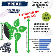 Насіння соняшника гібрид Урбан OR7, Дніпропетровська область. 