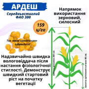 Посівний матеріал соняшника та кукурудзи, Одеська область. 