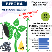 Посівний матеріал соняшника та кукурудзи, Одеська область. 