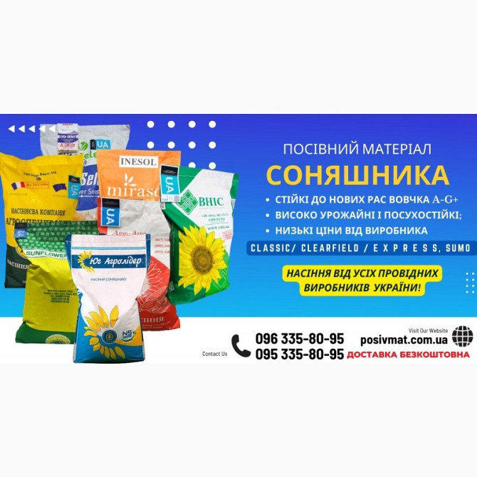 10% знижка на насіннєвий матеріал соняшнику, Кіровоградська область.  - зображення 1