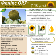 Гібрид соняшника стійкий до посухи - ФЕНІКС OR7+, НОВИНКА на ринку України, Київська область. 