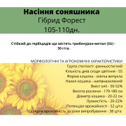 Насіння соняшника - Форест 105-110 днів (гранстійкий), Дніпропетровська область. 