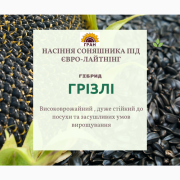 Новинка 2021 р. Насіння соняшника під Євролайтнінг - Гризлі (100-107 дн), Київська обл. 