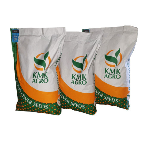 Подсоняшник Флокс, Дніпропетровська область.  - зображення 1