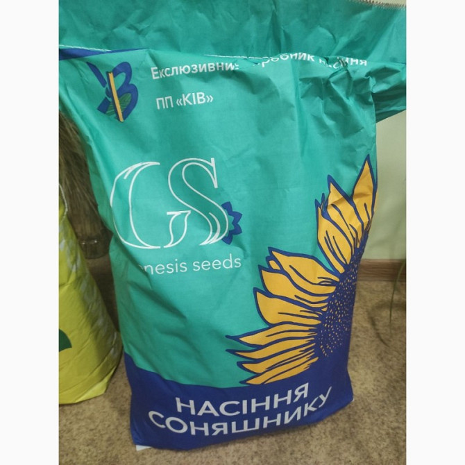 Семена соняшника Приват OR 7Sumo 50 г, Дніпропетровська область.  - зображення 1