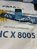 Насіння соняшника гібрид НС Х8005, Київ. 