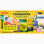 Насіння соняшника під Гранстар 50 г/га, посухостійкі, високоврожайні, Київська область. 