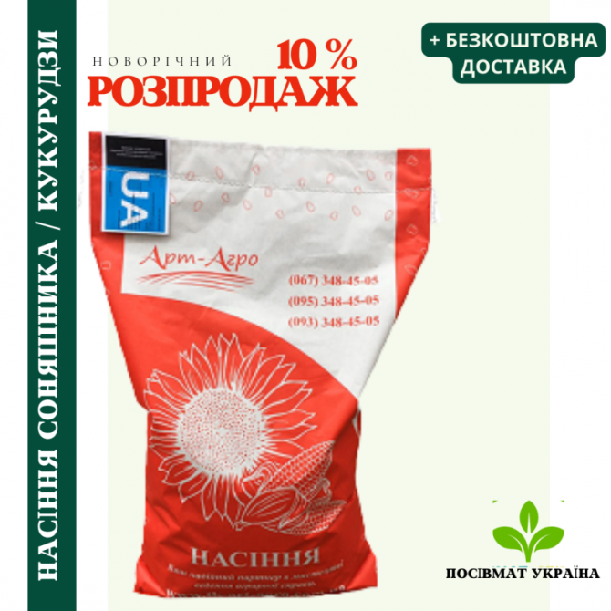 Насіння соняшника під Гранстар 50 г/га, посухостійкі, високоврожайні, Київська область.  - зображення 1