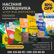 Насіння СОНЯШНИКА за цінами від виробника, Дніпропетровська область. 