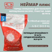 Високоурожайний гібрид соняшника "Неймар Плюс OR7", висока стійкість до вовчка, Одеська область. 