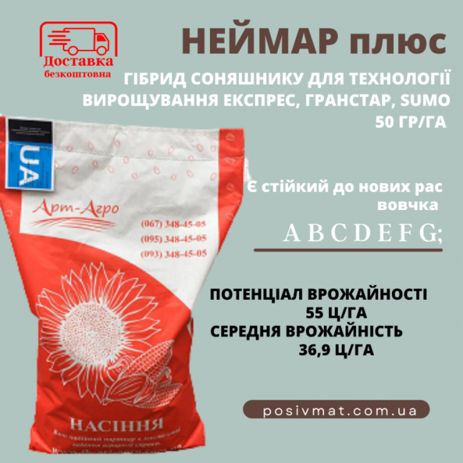 Високоурожайний гібрид соняшника "Неймар Плюс OR7", висока стійкість до вовчка, Одеська область.  - изображение 1