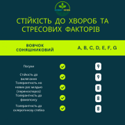 ФЕНІКС OR7, НАСІННЯ посухостійкого гібриду соняшника, безкоштовна доставка, Дніпропетровська область 