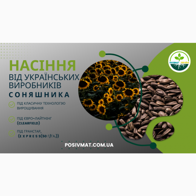 Урбан OR7+ (105-110 дн.) під гранулят 50 г/га, Київська область.  - зображення 1