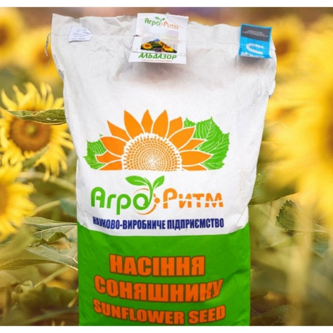 Насіння соняшнику Альдазор (7 рядів волчка), під гербіцид Гранстар 50 г, Київ.  - зображення 1