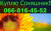 Шукаю постачальника СОНЯШНИКУ, на тривалий термін, Полтавська область. Украйна