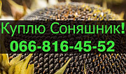 Підприємство переробник закуповує соняшник у необмежених обсягах в Полтавській області. Украйна