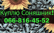 Закуповую СОНЯШНИК у будь-якій кількості, Полтавська область. Украйна