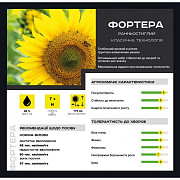 Гібрид соняшника - Fortera (Durum Seeds), Дніпропетровська область. 