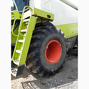 Комбайн Claas Lexion 600 (2006), Київська область. 