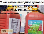 Протравник Кінто Дуо, Кінто Дуо ціна, Кінто Дуо купити, Вигідна ціна 330 грн/л. Доставка, Київ. Україна