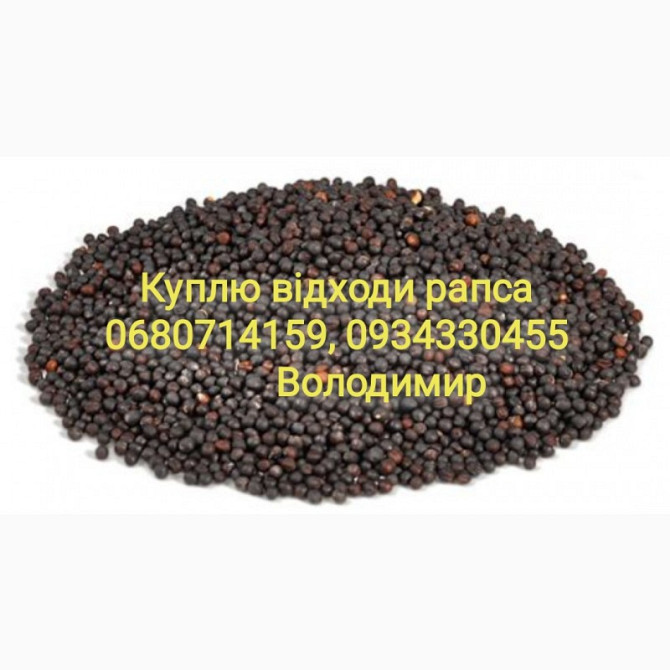 Відходи ріпаку купуємо, Херсонська область.  - зображення 1
