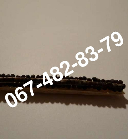 Продам насіння озимого рапсу ROCKFORD, канадський трансгенний сорт, Одеська область.  - зображення 1