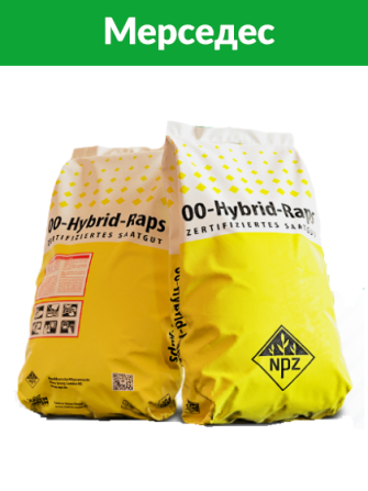 Насіння озимого ріпаку "Мерседес", NPZ-Lembke (Лембке), Київ.  - зображення 1