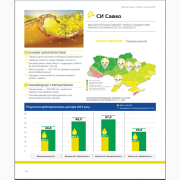 Насіння озимого ріпаку СІ Савео «Сингента» (Syngenta), Київ. 