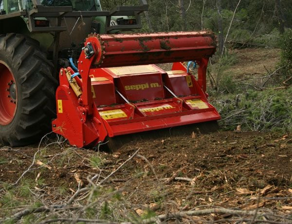 Універсальна лісова фреза-роторатор SEPPI MULTIFORST, Кіровоградська область.  - зображення 1