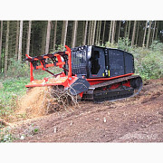 Самохідний мульчер Prinoth RAPTOR 300, Івано-Франківська область. Україна