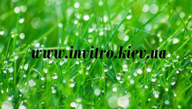 Продам абсцизову кислоту (ABA, Abscisic acid), Київ.  - изображение 1