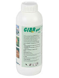 GIBB Plus 11 sl (Гібб Плюс) 1л – регулятор росту на основі гіберелінів GA 4/7 (Польща), Волинська. 