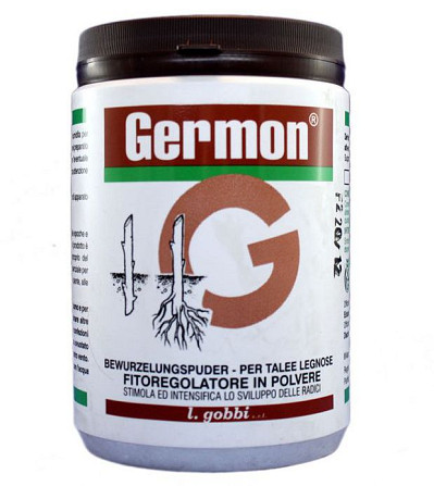 Жермон 75% (Germon) 100 г - стимулятор росту для укорінення черенків деревних порід, Волинська облас  - зображення 1