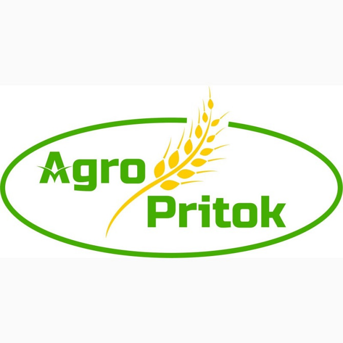 ТОВ "Агро Приплив" закуповує пшеницю, Кіровоградська область.  - изображение 1