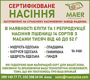 Сертифіковане насіння пшениці, Одеська область. Україна