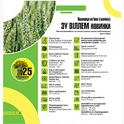 Продам насіння озимої пшениці сорту ЗУ ВІЛЛЕМ, Тернопільська область. 