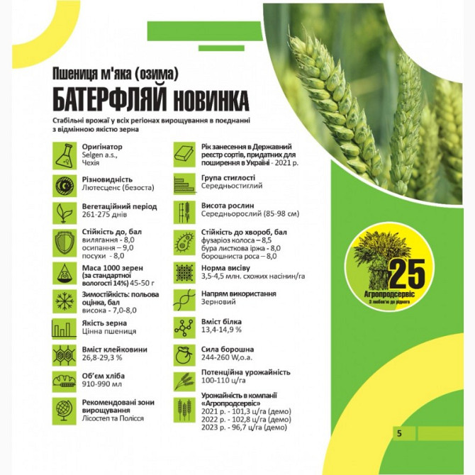 Продам насіння озимої пшениці сорту БАТЕРФЛЯЙ, Тернопільська область.  - изображение 1