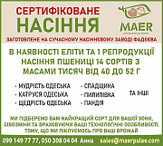 Реалізуємо сертифіковане насіння пшениці, Черкаська область. Україна