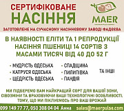 Сертифіковане насіння пшениці (посівний матеріал), Черкаська область. Україна