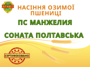 Насіння озимої пшениці, еліта, від автора, Полтавська область. 