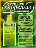 Хлорела суспензія (Chlorella vulgaris) - живий штам хлорели, Одеська область. 