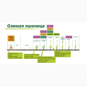 Ускорювач проростання насіння "Мальхам", Київ. 