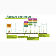 Органічний засіб від бур'янів "Ґлюмікрон", Київ. Україна