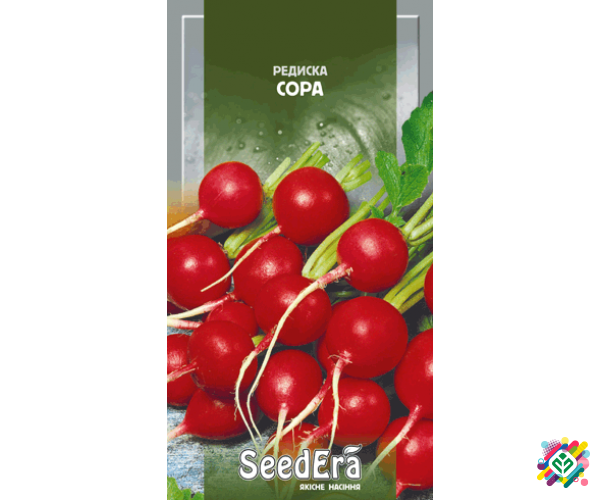 Редис Сора 20 г. Херсон - изображение 1