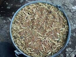 Закуповуємо брак, відходи сільськогосподарських культур, Чернігівська область.  - зображення 1