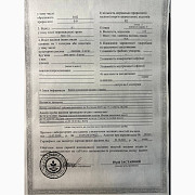 Продам гречку посівний матеріал сорту Селяночка, Полтавська область. Україна